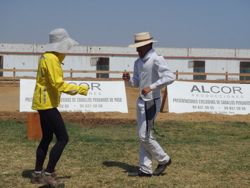 Peruvian Step Horse Show.